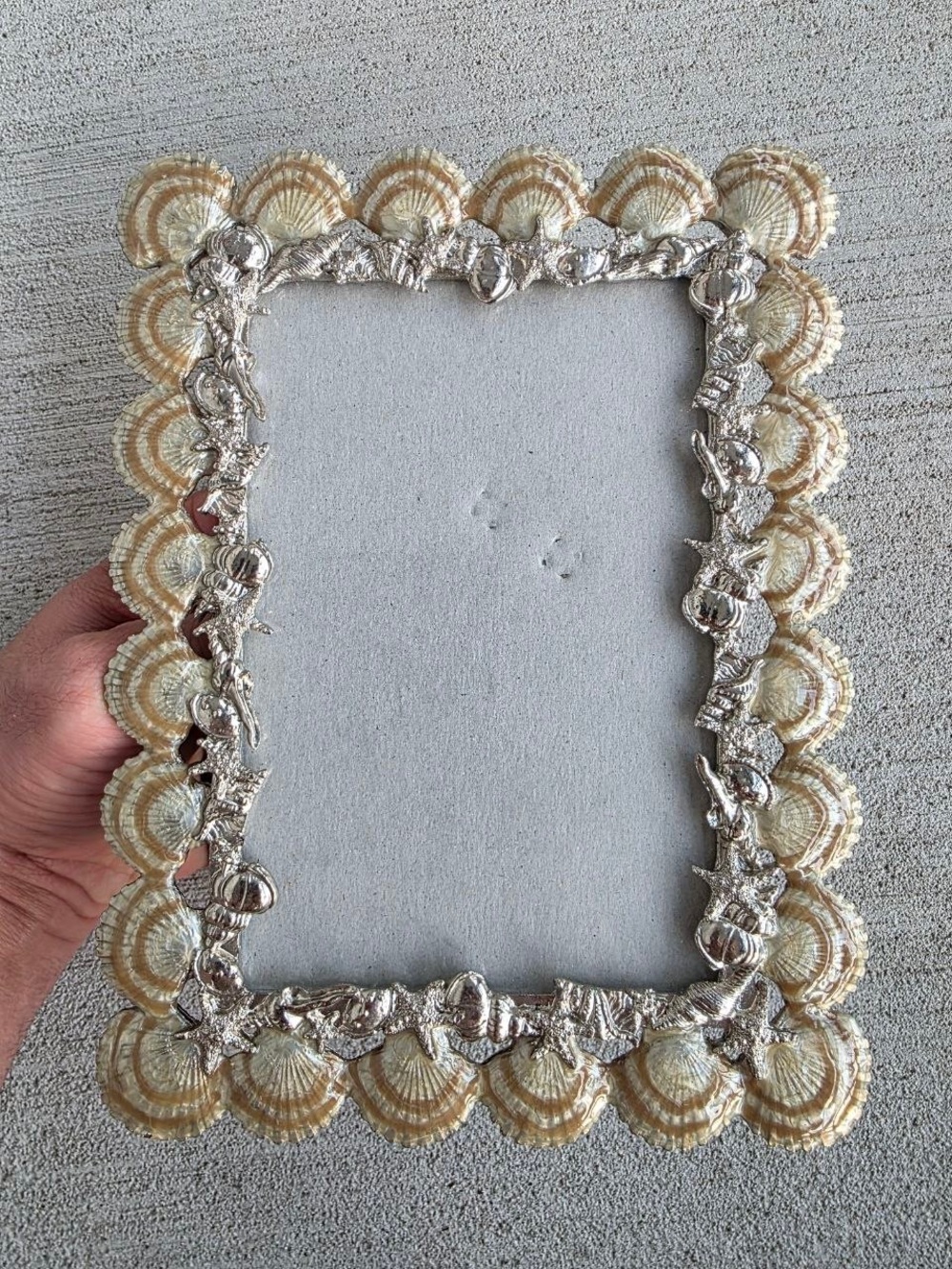 Coastal Seashell Photo Frame 4x6 Beach Nautical Shoreline Silver Shell Decor